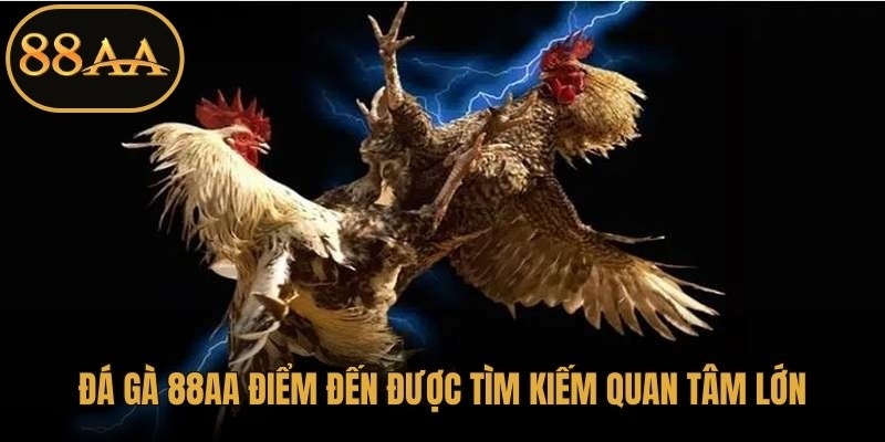 Đá gà 88AA hiện đang là điểm đến được tìm kiếm quan tâm lớn