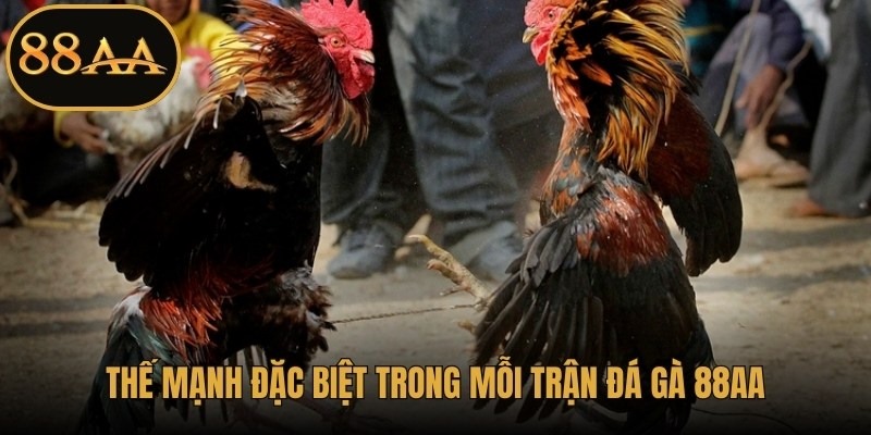 Thế mạnh đặc biệt trong mỗi trận đá gà 88AA
